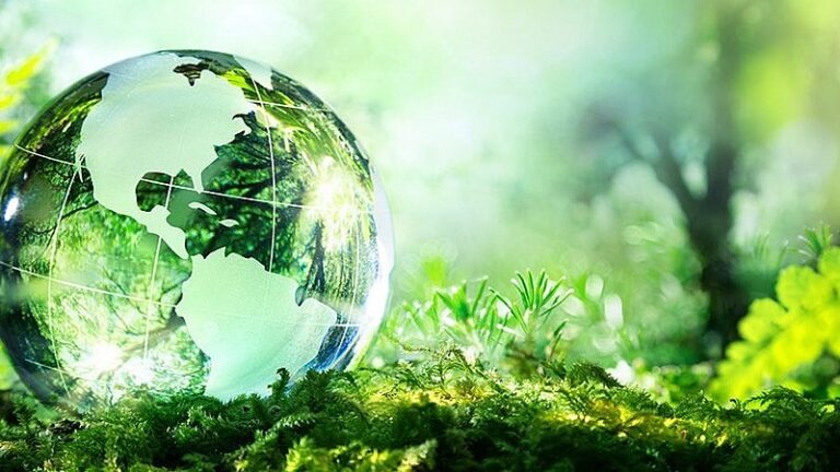 Công ty TNHH MTV tạm ngừng hoạt động kinh doanh có phải thực hiện quan trắc môi trường định kỳ hay không?
