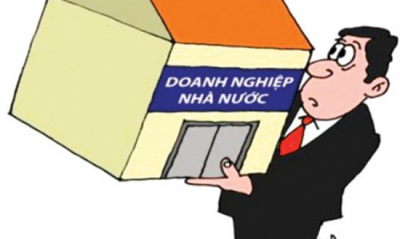 Cùng lúc GĐ doanh nghiệp nhà nước có thể làm người đại diện theo pháp luật công ty không