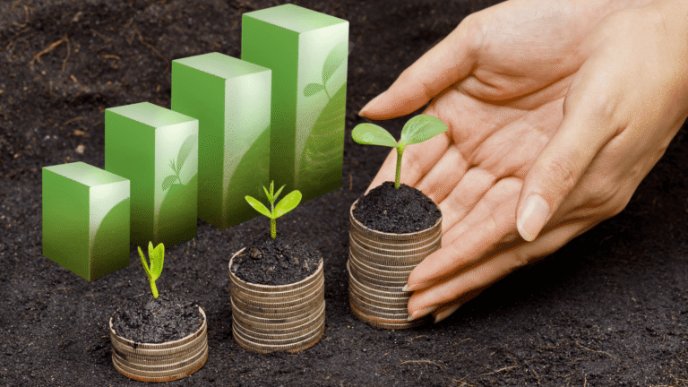 Doanh nghiệp có vốn đầu tư nước ngoài thành lập chi nhánh, văn phòng đại diện tại Việt Nam có cần xin giấy chứng nhận đầu tư không?