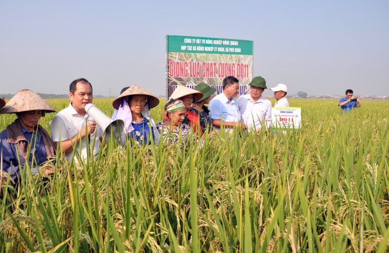 Thủ tục thay đổi với cơ quan quản lý liên hiệp hợp tác xã